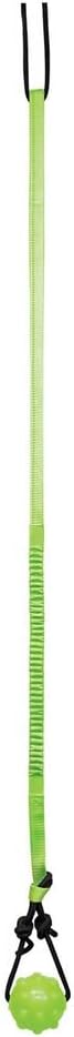 Jolly Pets Tree Tugger Para Perro, Verde