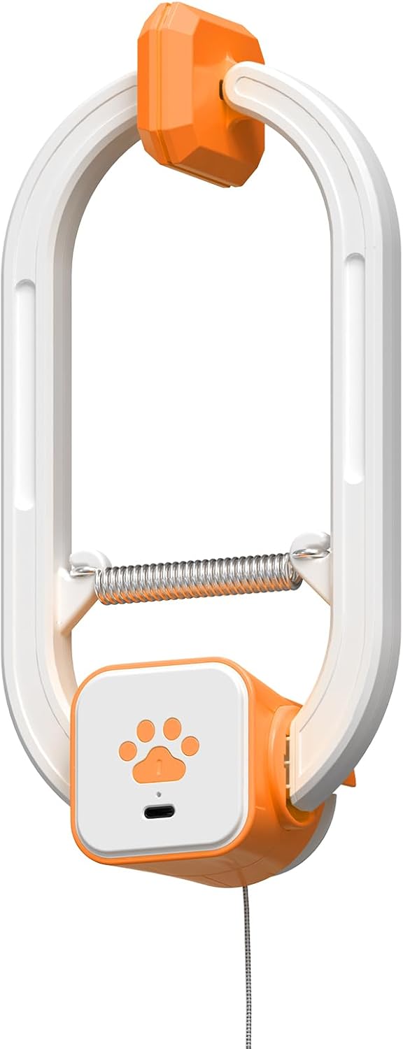 HAPPYCODE Juguete interactivo para gato, ave aleteante y teaser de...
