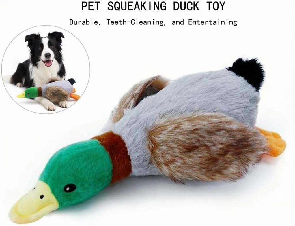 Paw-FECT - Juguete de pato de malardo, juguete de peluche chirriant...