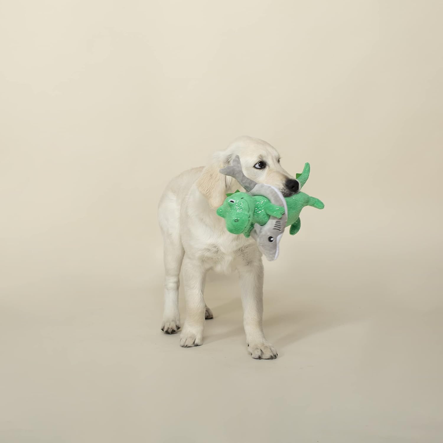 Fringe Studio - Juguete de peluche para perro, Shark Week REX (2898...