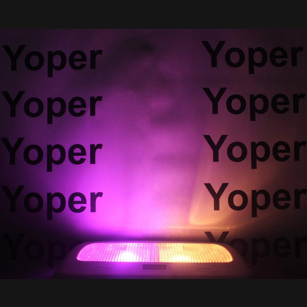 Yoper BA9S 53 57 1895 64111 Bombilla LED para Coche 12V Rosa