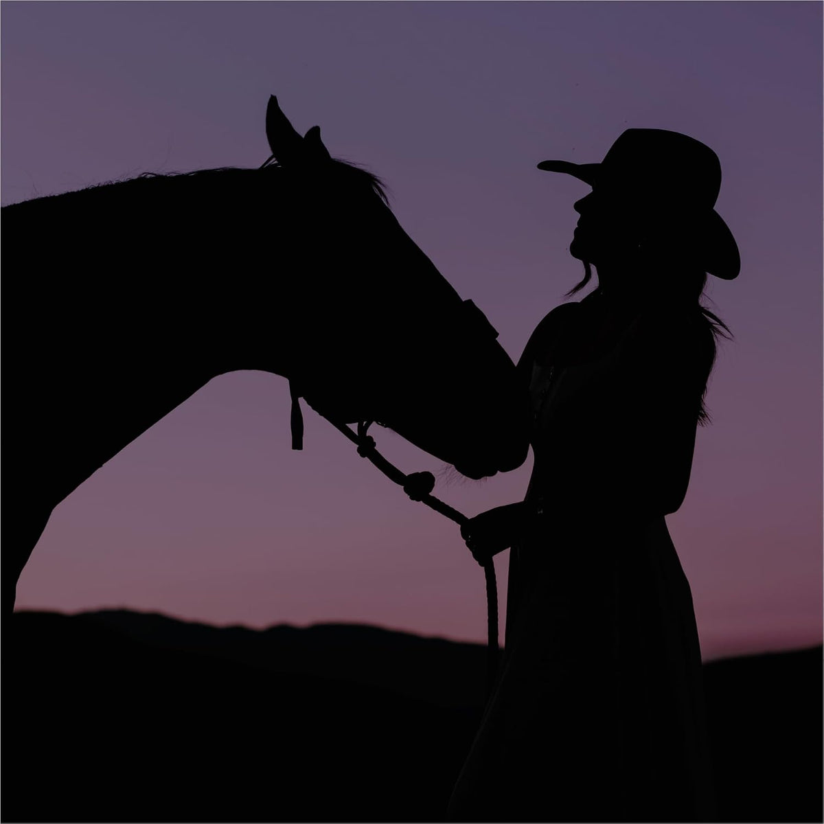Yellowstone Dusk - Aerosol para monedero para mujer de Tru Western,...
