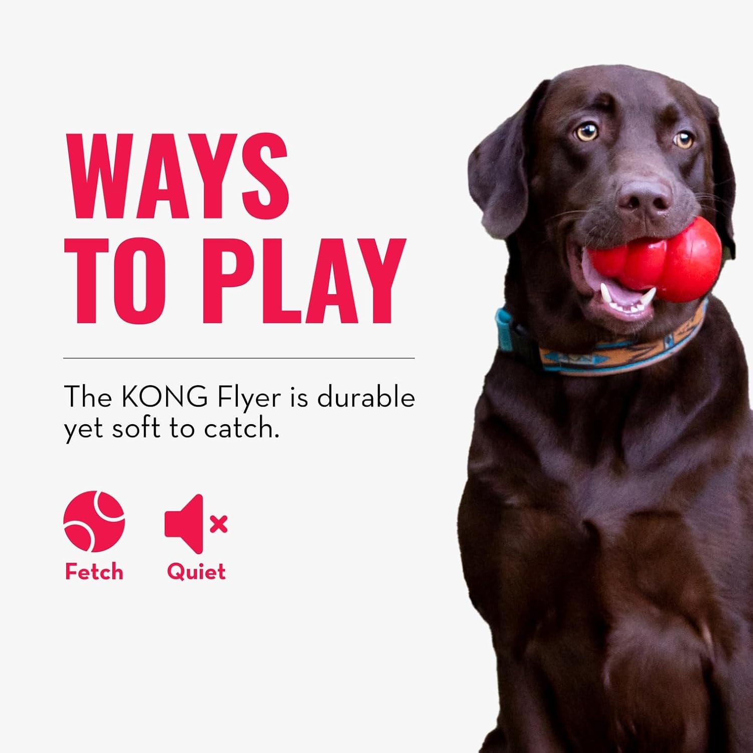 KONG Flyer - Juguete duradero para perros para jugar al aire libre...