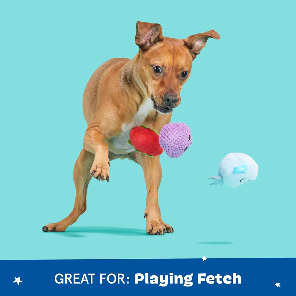 Barkbox Wild Berry Bunch - Juguete multiparte para perros y cachorr...