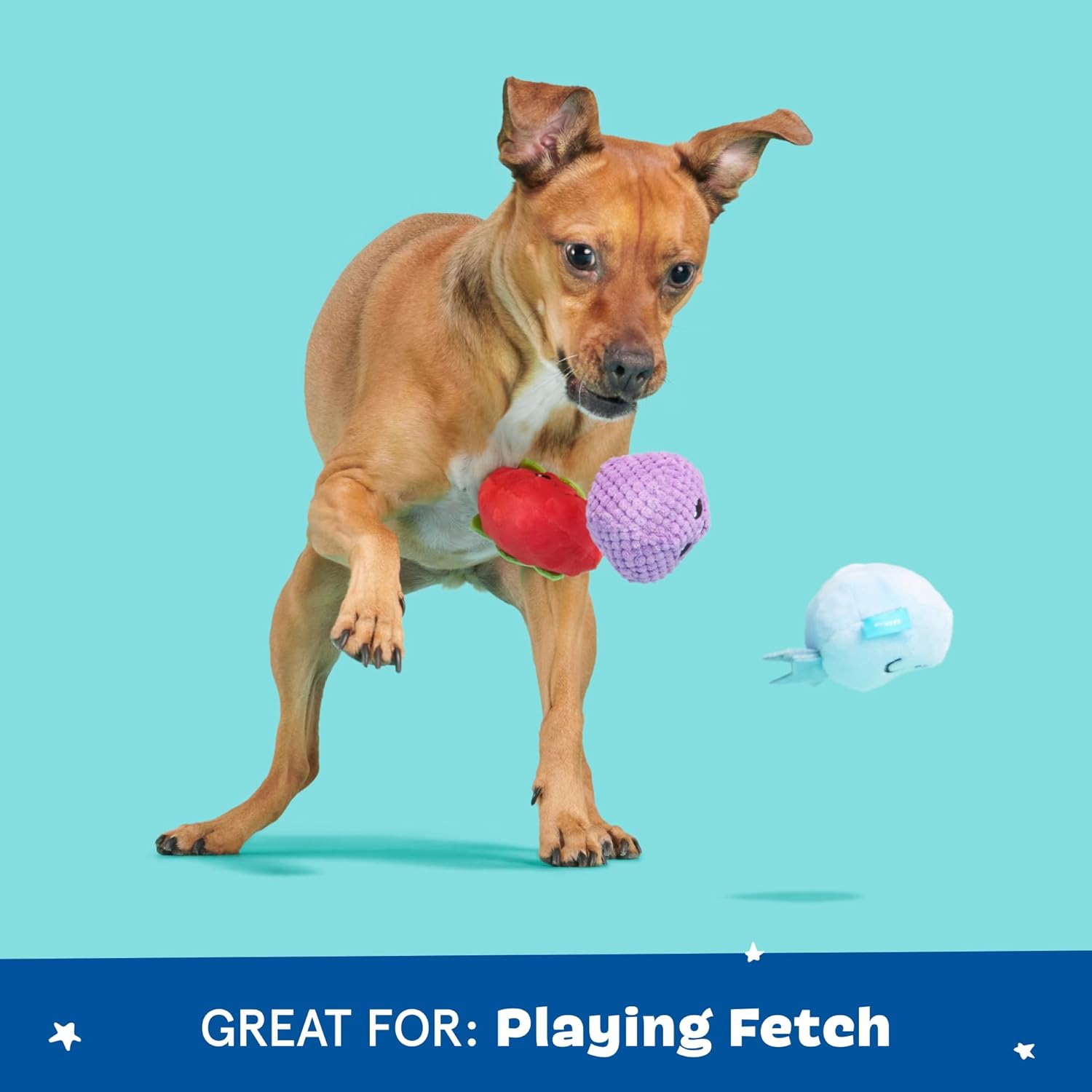 Barkbox Wild Berry Bunch - Juguete multiparte para perros y cachorr...