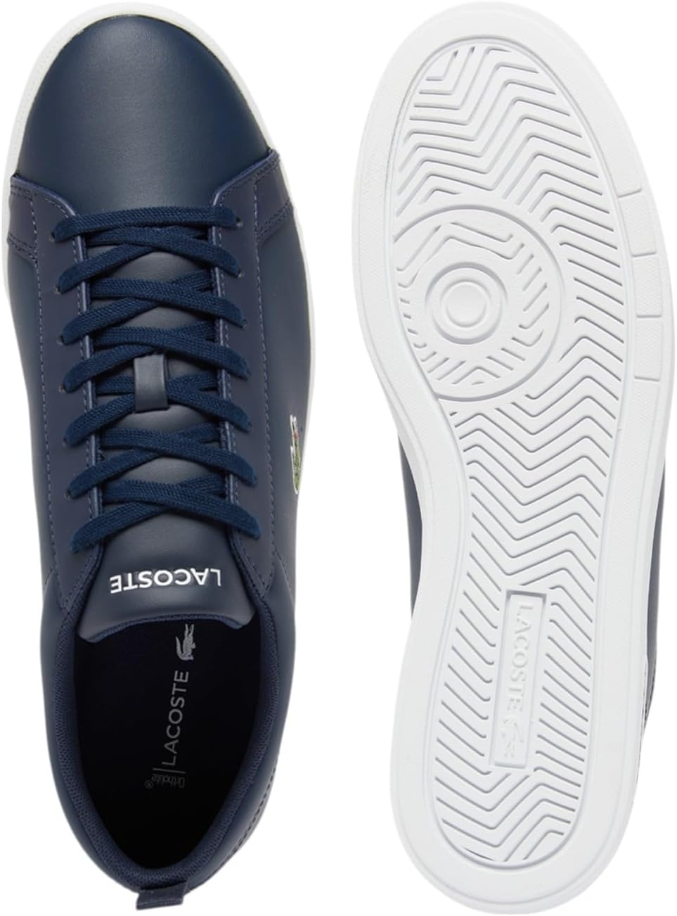 Lacoste Zapatillas Court Base para hombre