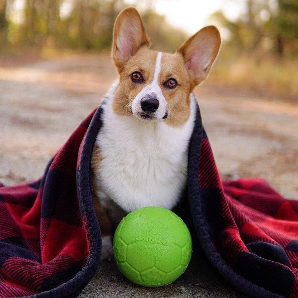 Juguete para perros Jolly Pets - Pelota de fútbol flotante y rebota...