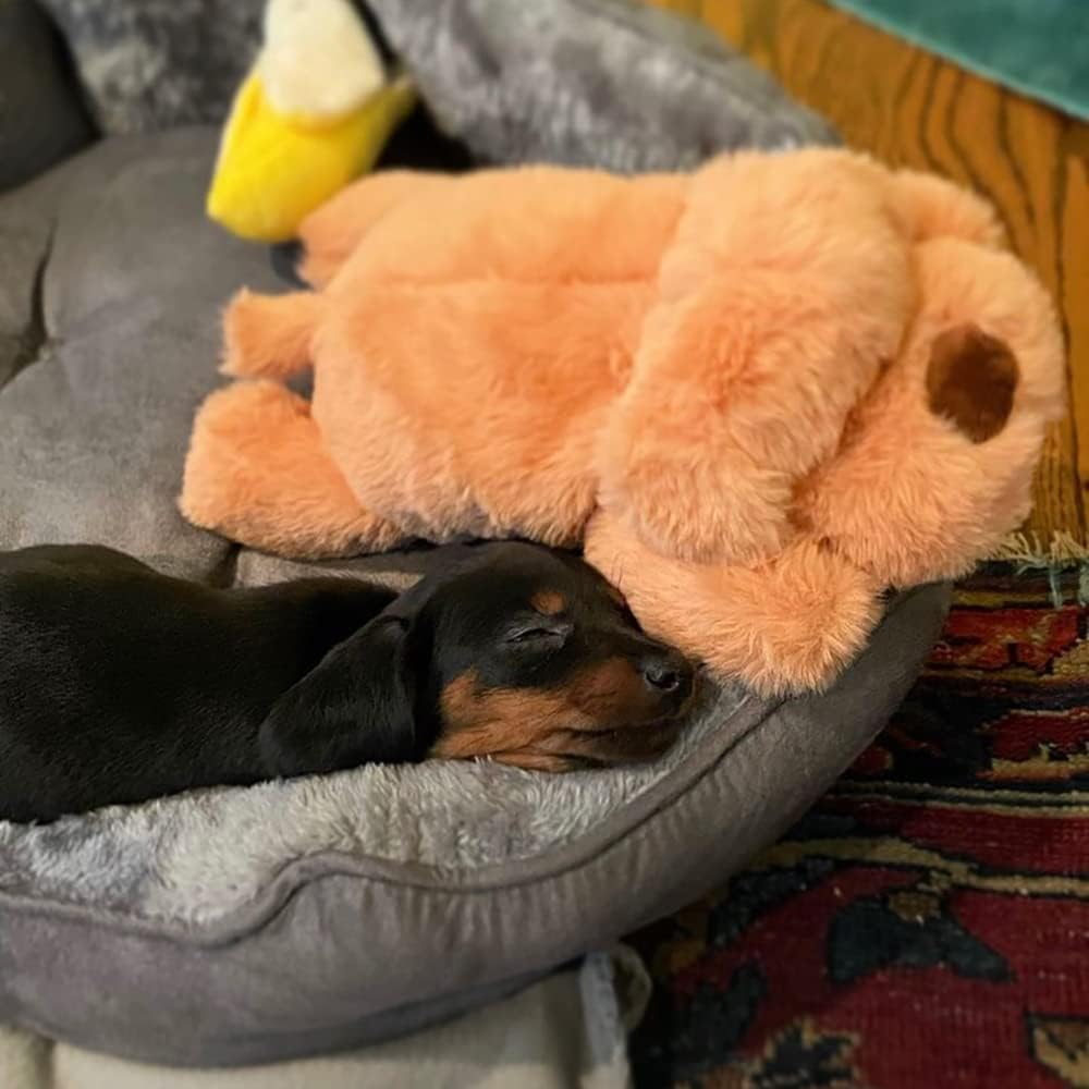 Snuggle Puppy Galleta Junior