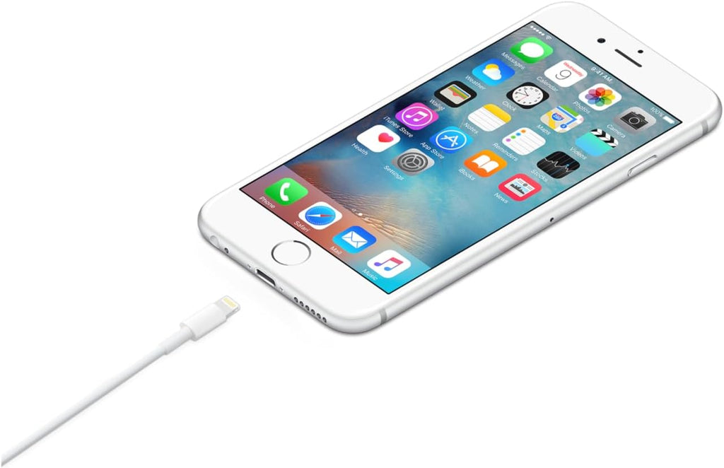 Cable Lightning Apple a USB (1 metro)
