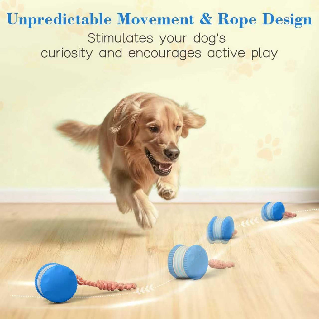 QGI Pelota interactiva para perros, camino aleatorio eléctrico auto...