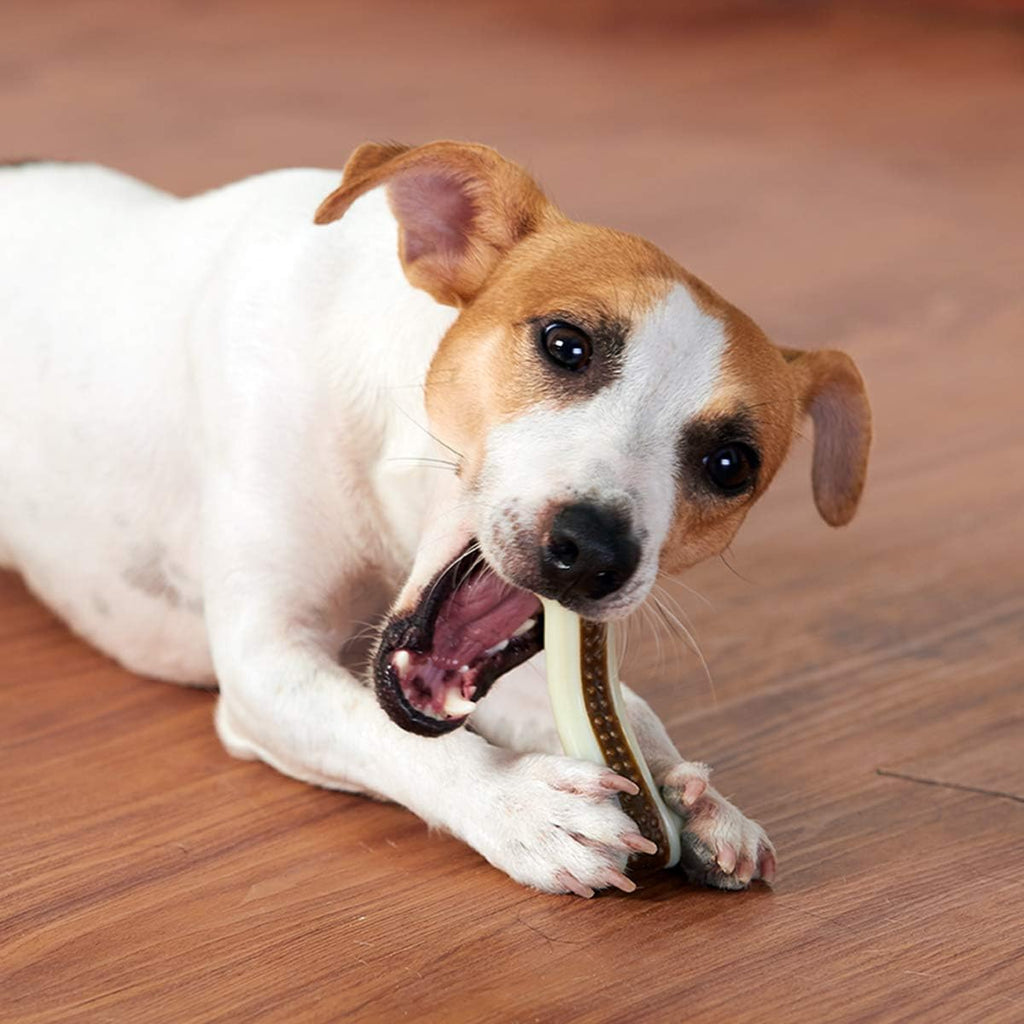 BETTEPROD Juguetes masticables para perros para masticadores agresi...