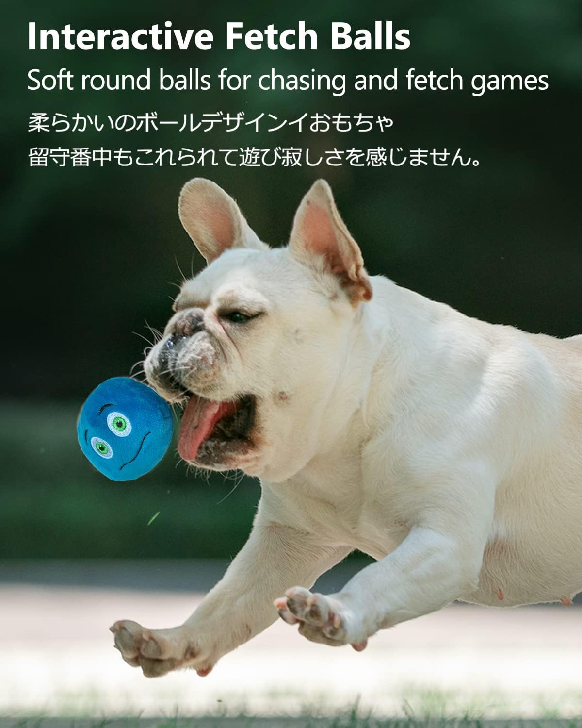 SCHITEC Juguetes chirriantes para perros, [6 unidades] Pelotas de f...