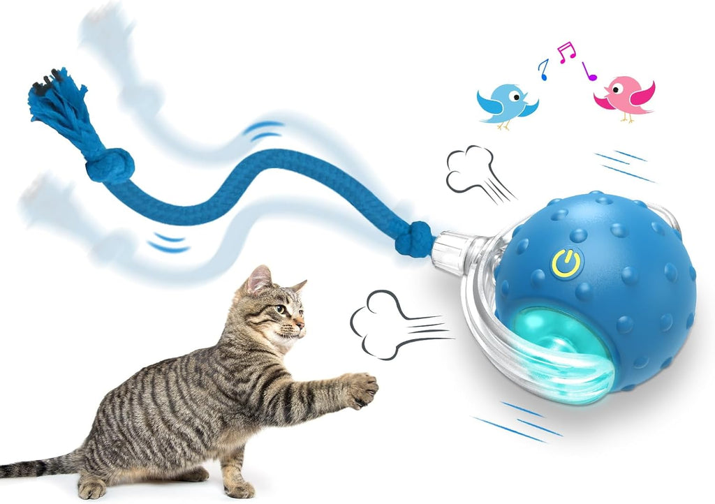 Giociv Pelota de juguete interactivo para gatos de interior que rue...