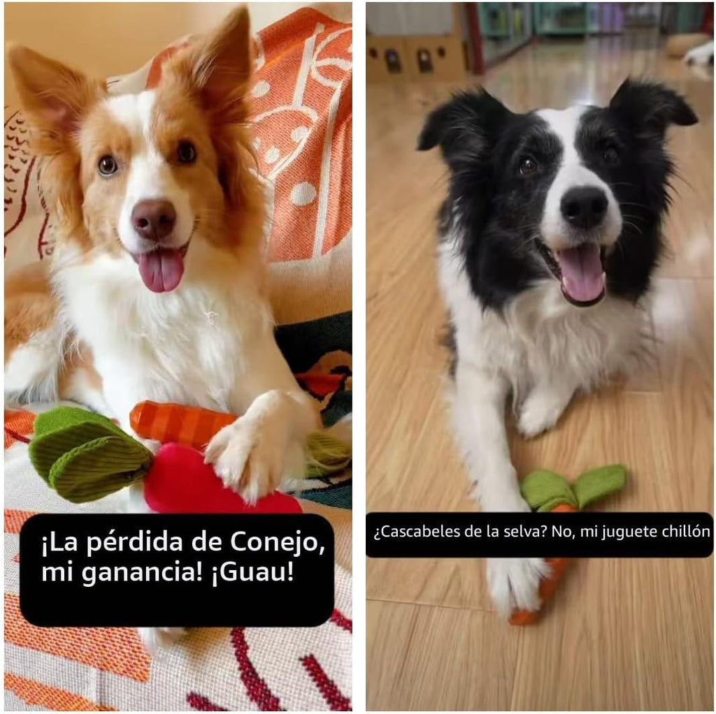MewaJump Juguetes Chirriantes y Masticables para Perros Masticadore...