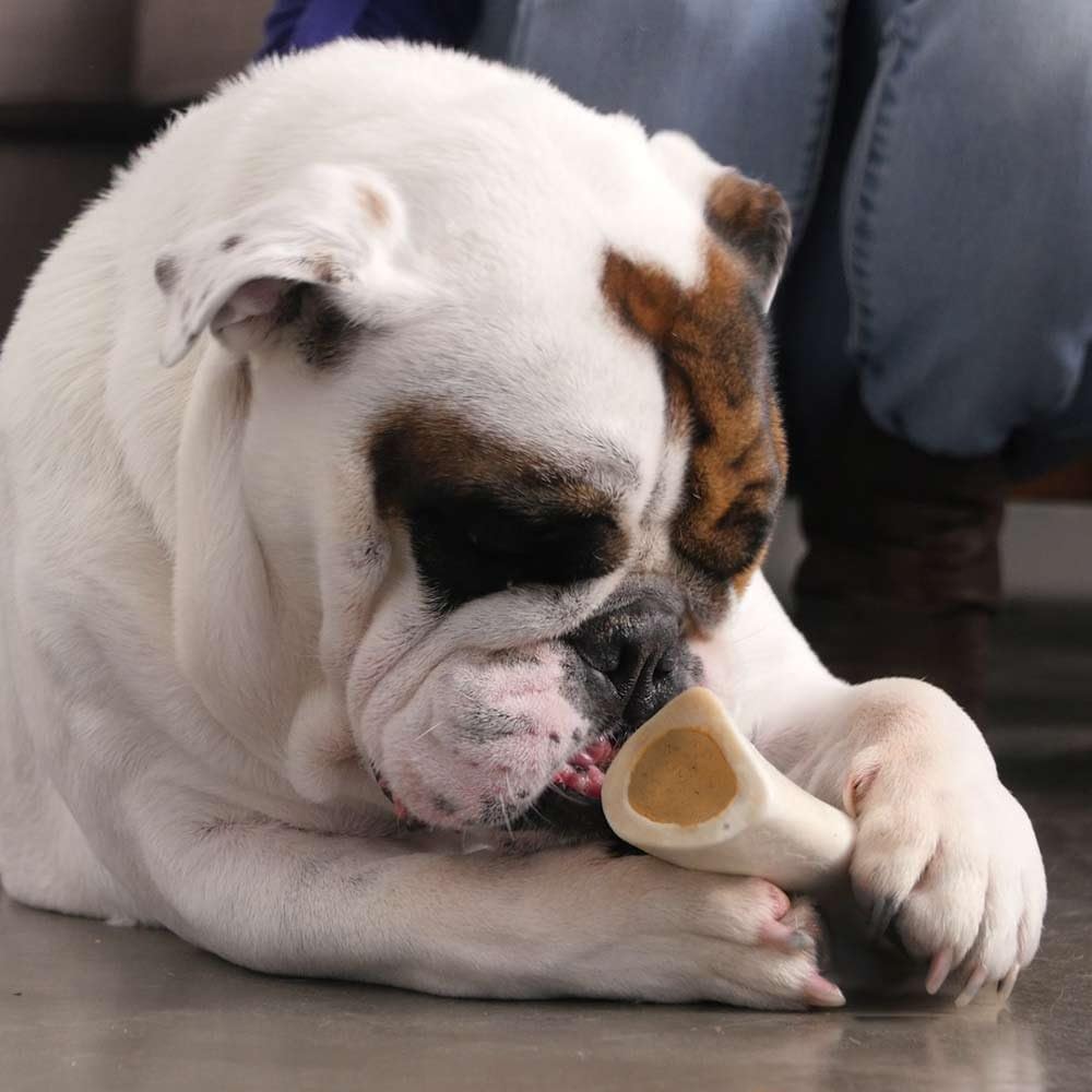 Pawstruck - Paquete de variedad de huesos rellenos para perros pequ...