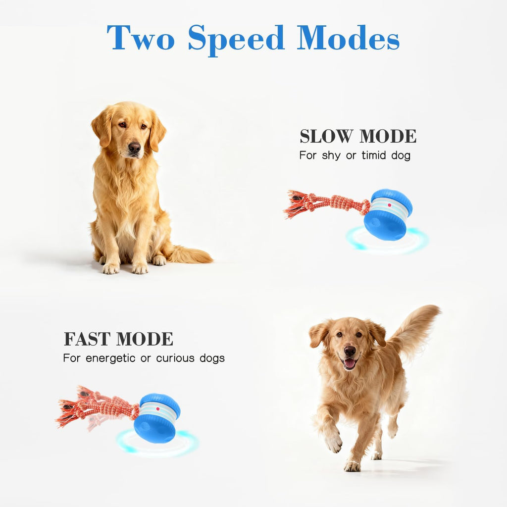 QGI Pelota interactiva para perros, camino aleatorio eléctrico auto...