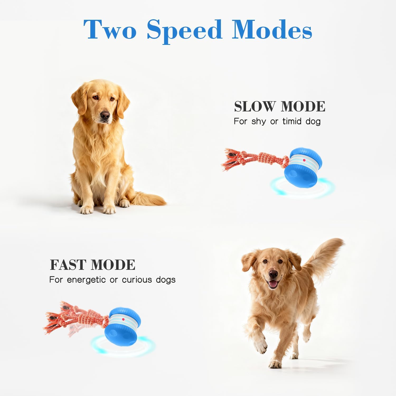 QGI Pelota interactiva para perros, camino aleatorio eléctrico auto...