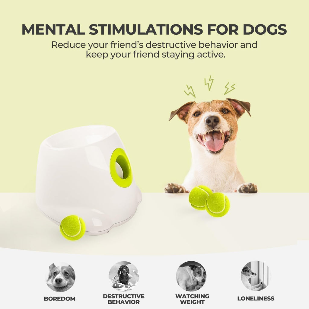 ALL FOR PAWS Lanzador automático de bolas para perros, máquina inte...