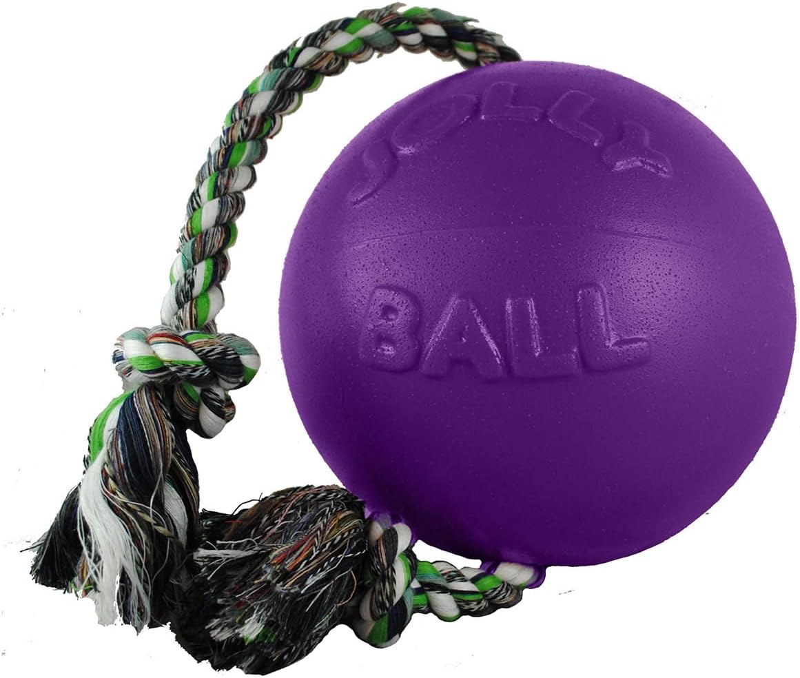 Jolly Pets Romp-n-Roll - Juguete de cuerda y bola para perro, 6 pul...