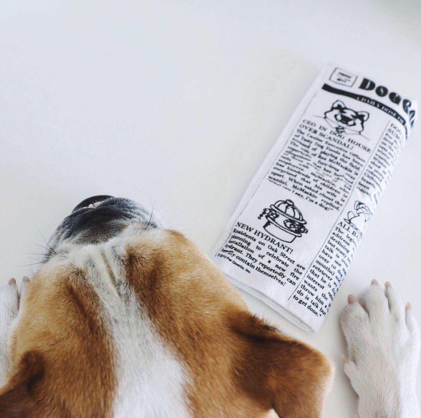 Pet Qwerks - Juguetes de peluche interactivos para perros - Juguete...
