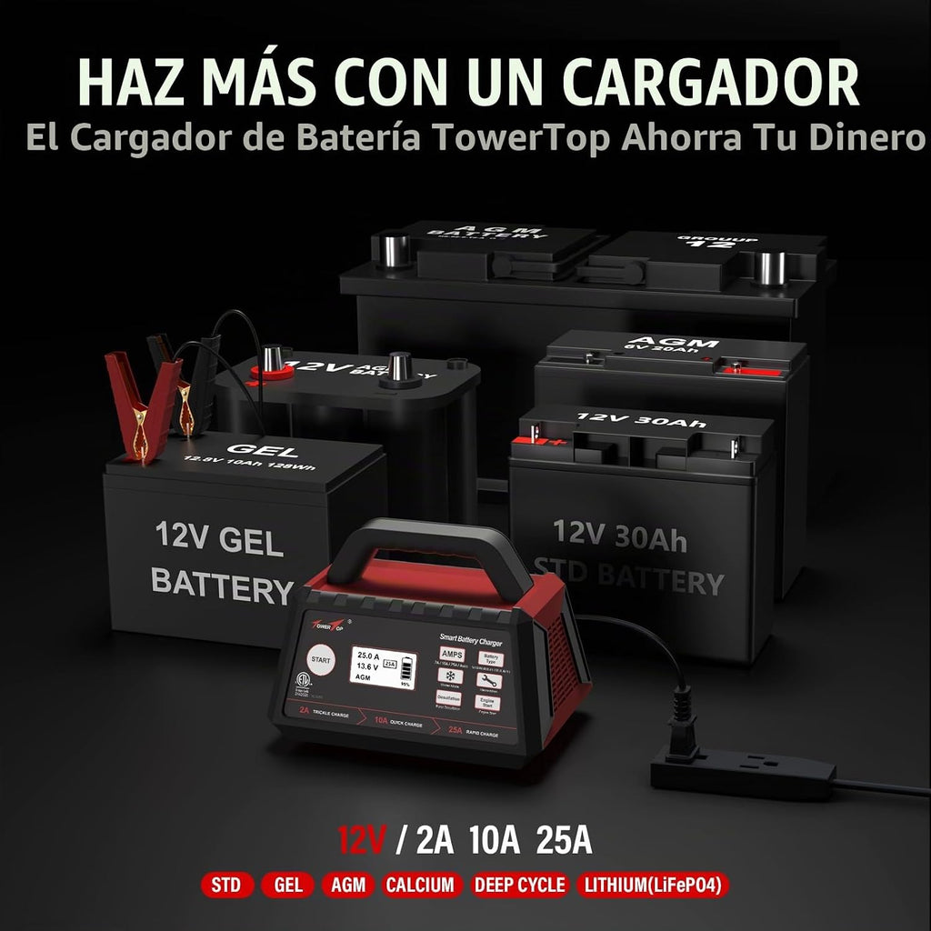 TowerTop Cargador de batería inteligente de coche de 2\/10\/25 ampe...