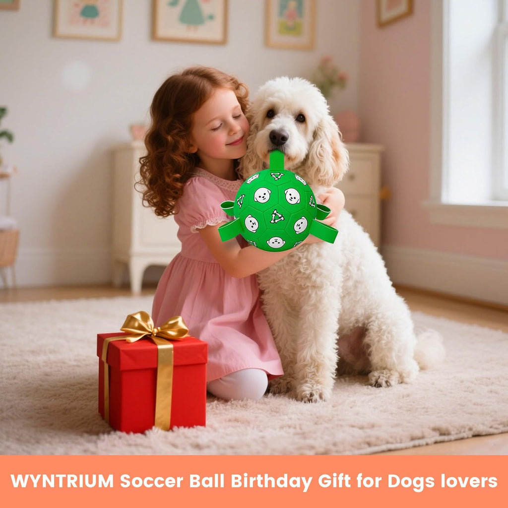 WYNTRIUM Pelota de fútbol de juguete para perros con pestañas de ag...