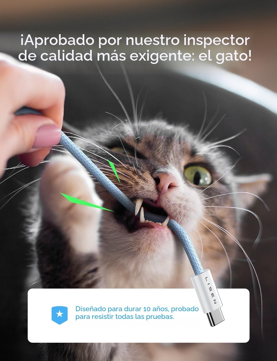 LISEN Cable USB C, Paquete de 5 [3.3\/3.3\/6.6\/6.6\/10 PIES] Cable...