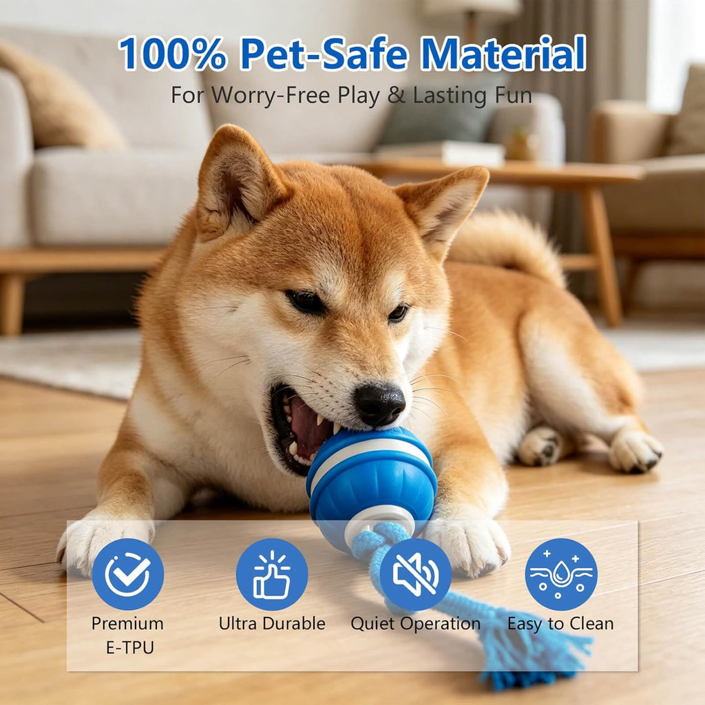 Craynivel Pelota interactiva para perros, juguete de 360° con luces...