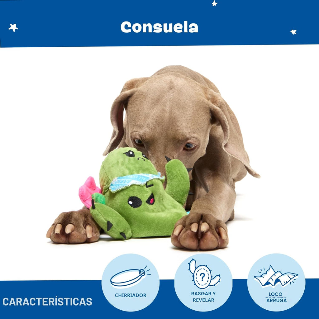Barkbox Consuela The Cactus Juguete de Peluche Interactivo 2 en 1 p...