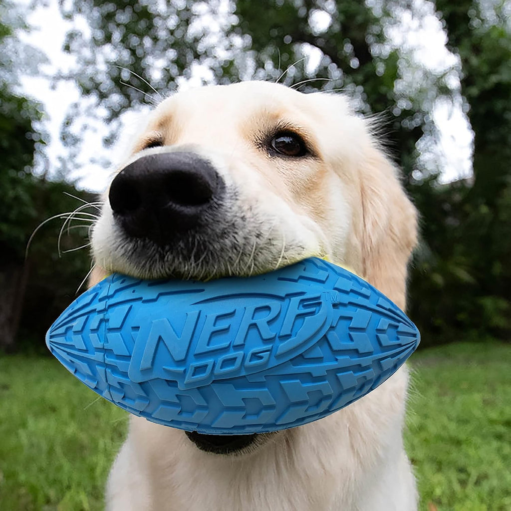 Nerf Dog - Juguete de llanta con chirriador para perros al aire lib...
