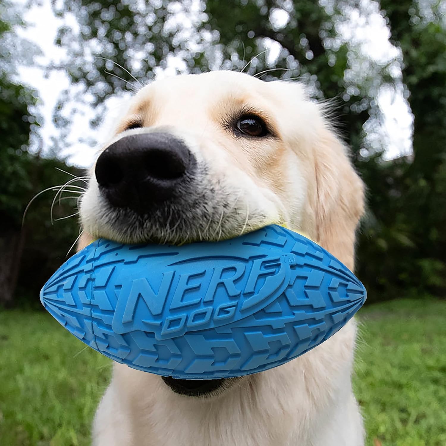 Nerf Dog - Juguete de llanta con chirriador para perros al aire lib...