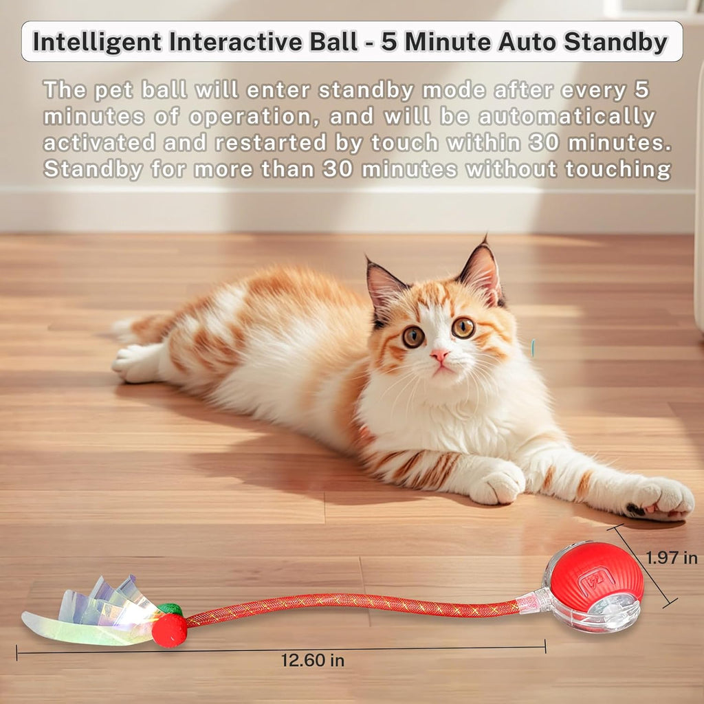 Yaruiguang Nuevo Juguete de Pelota para Gatos Mejorado - Speedy Tai...