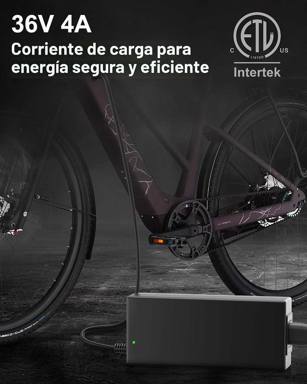 VHBW Cargador de batería 42V 4A para Bosch eBike BES2 BCS220, enchu...