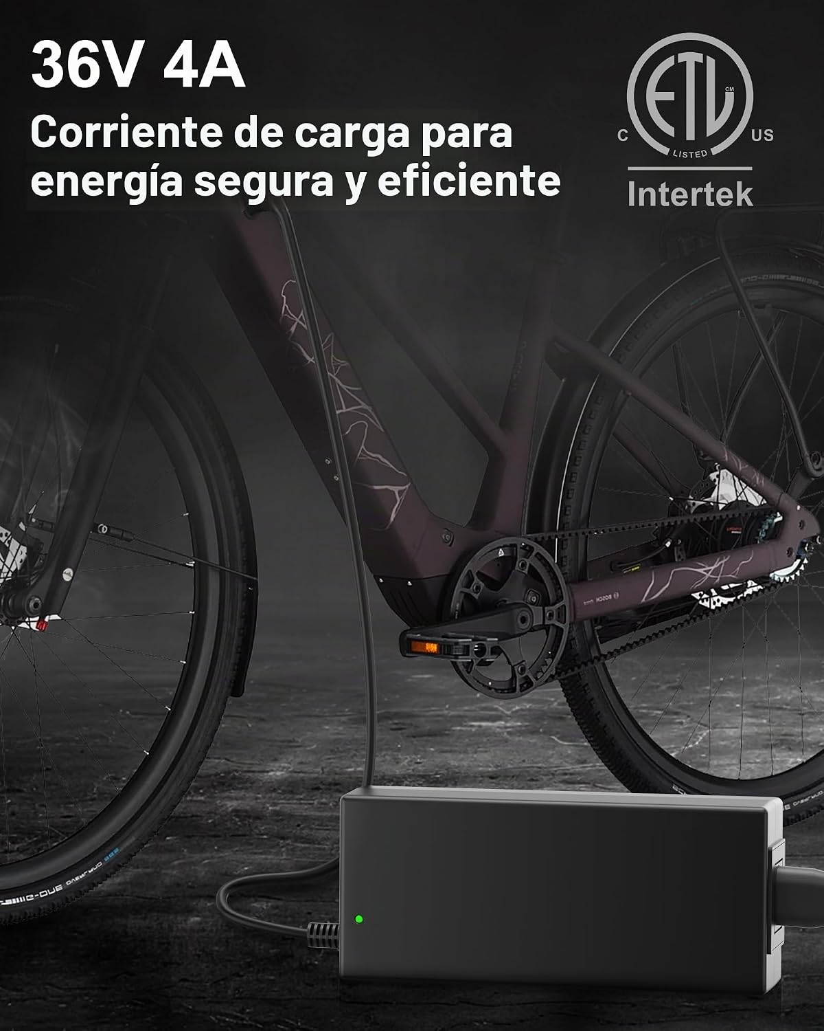 VHBW Cargador de batería 42V 4A para Bosch eBike BES2 BCS220, enchu...