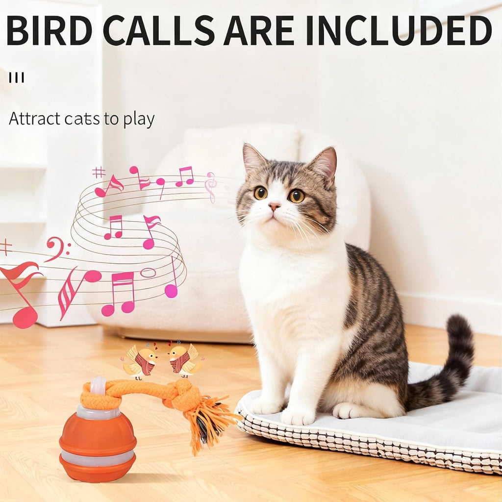 SPGSWCY Juguetes interactivos inteligentes para gatos de interior \...