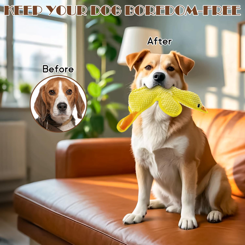MAOOOOB Juguetes para perros sin relleno - Juguetes para morder par...
