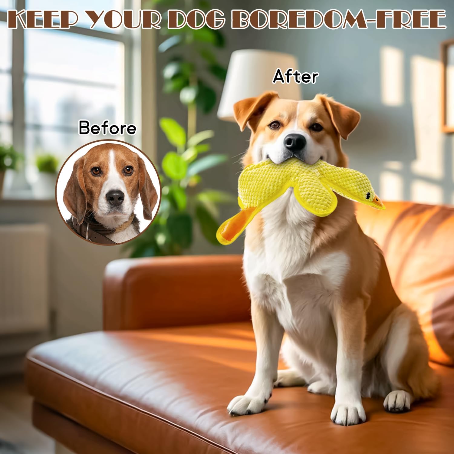 MAOOOOB Juguetes para perros sin relleno - Juguetes para morder par...