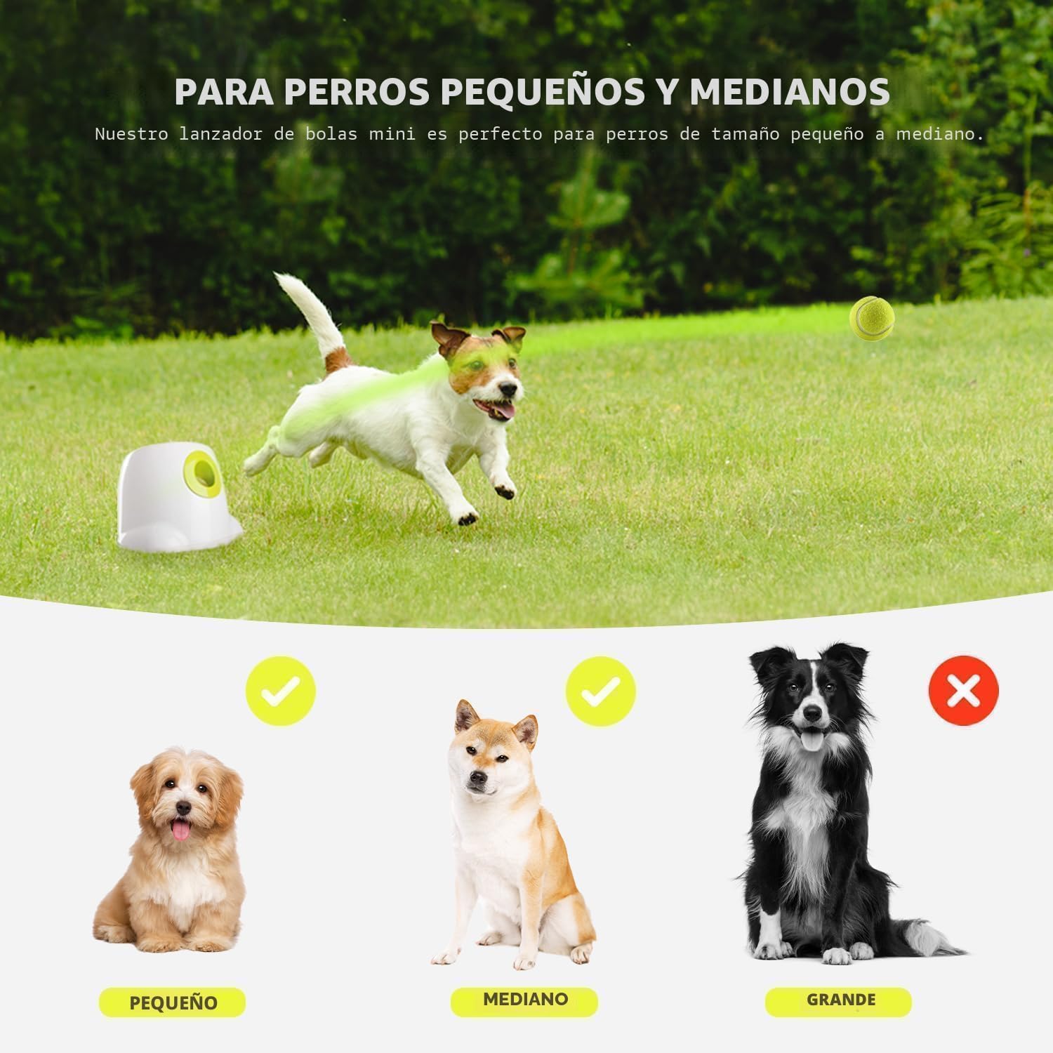 ALL FOR PAWS Lanzador automático de bolas para perros, máquina inte...
