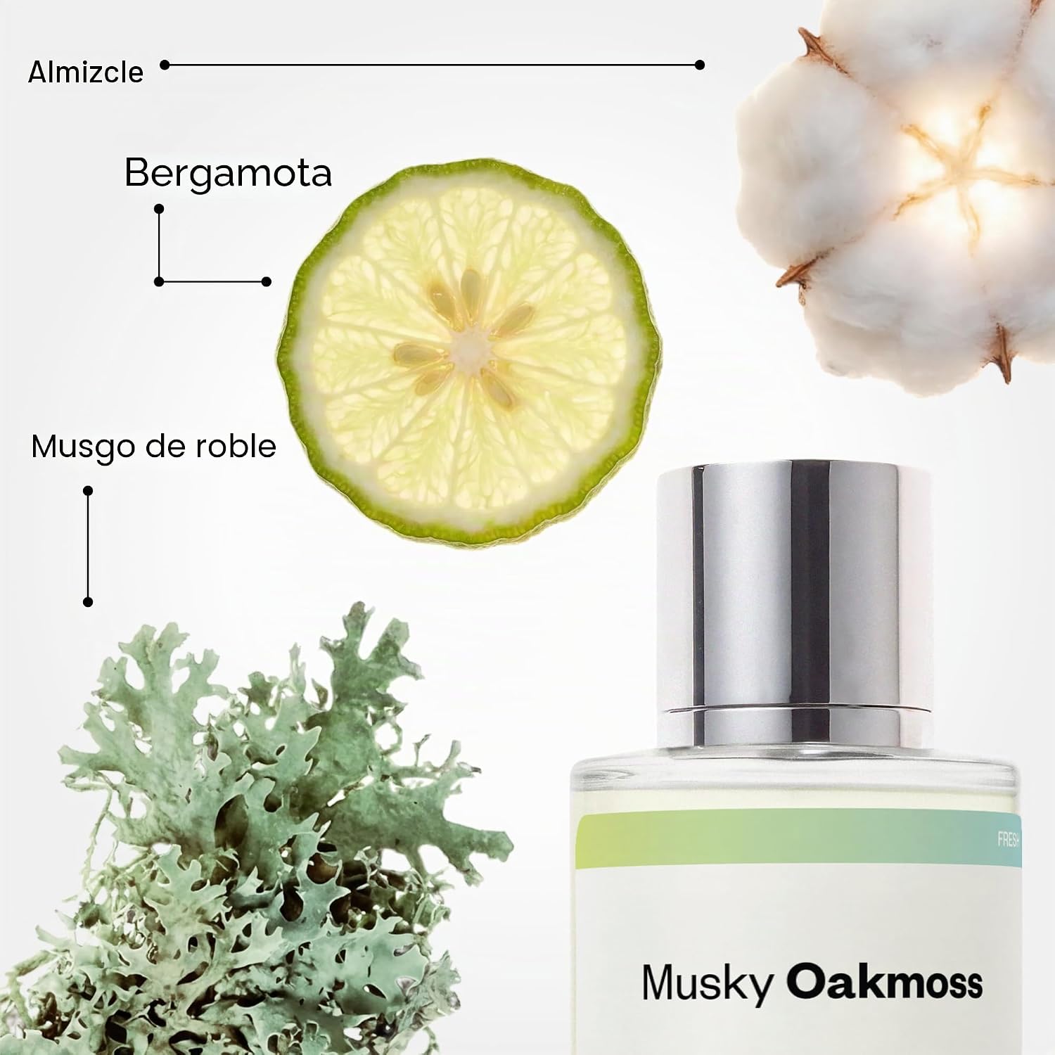 Dossier - Musky Oakmoss - Eau de Parfum - Inspirado en Creed's...