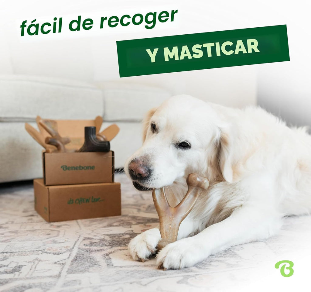 Benebone - Paquete de 4 juguetes masticables grandes para perros pa...