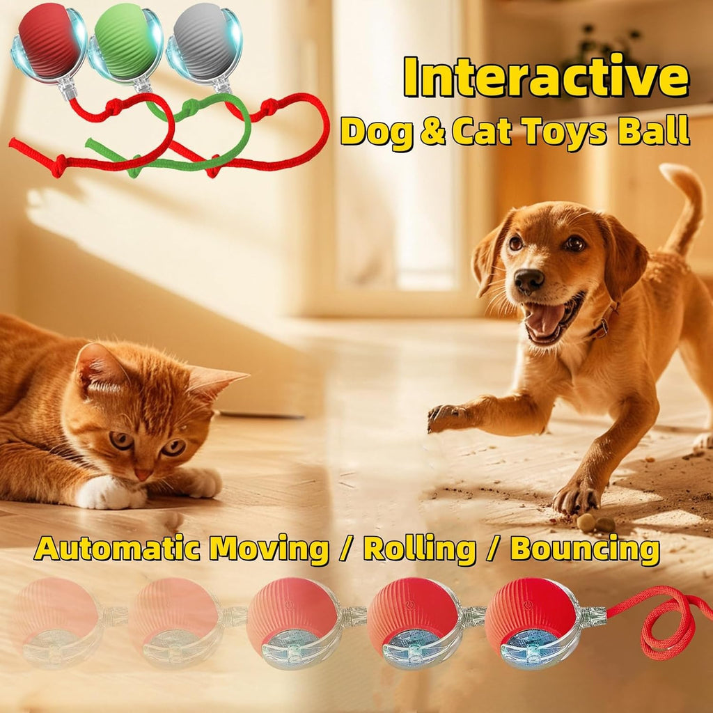 Pelota de juguete interactiva para perros y gatos, movimiento autom...