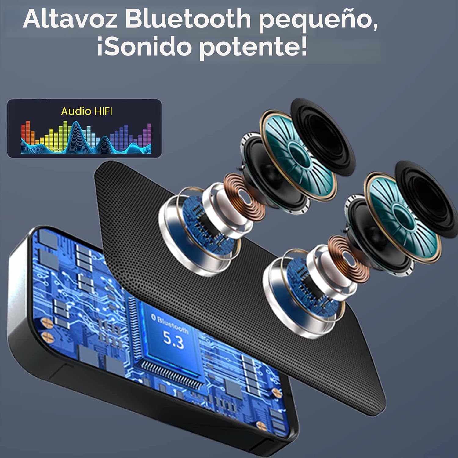 Altavoz Bluetooth AFK con Cargador Portátil, Altavoz Inalámbrico co...