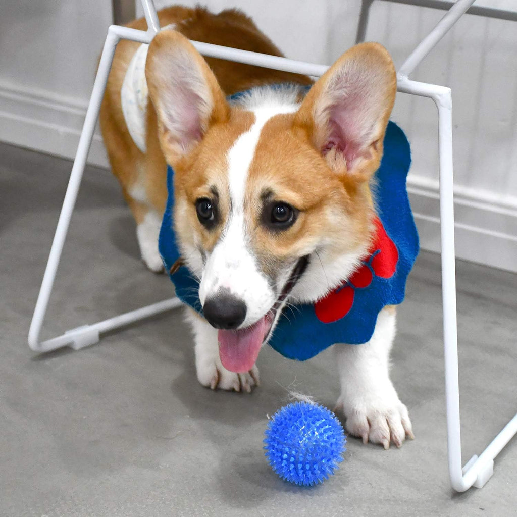 SHARLOVY Bolas chirriantes para mascotas y cachorros pequeños, paqu...