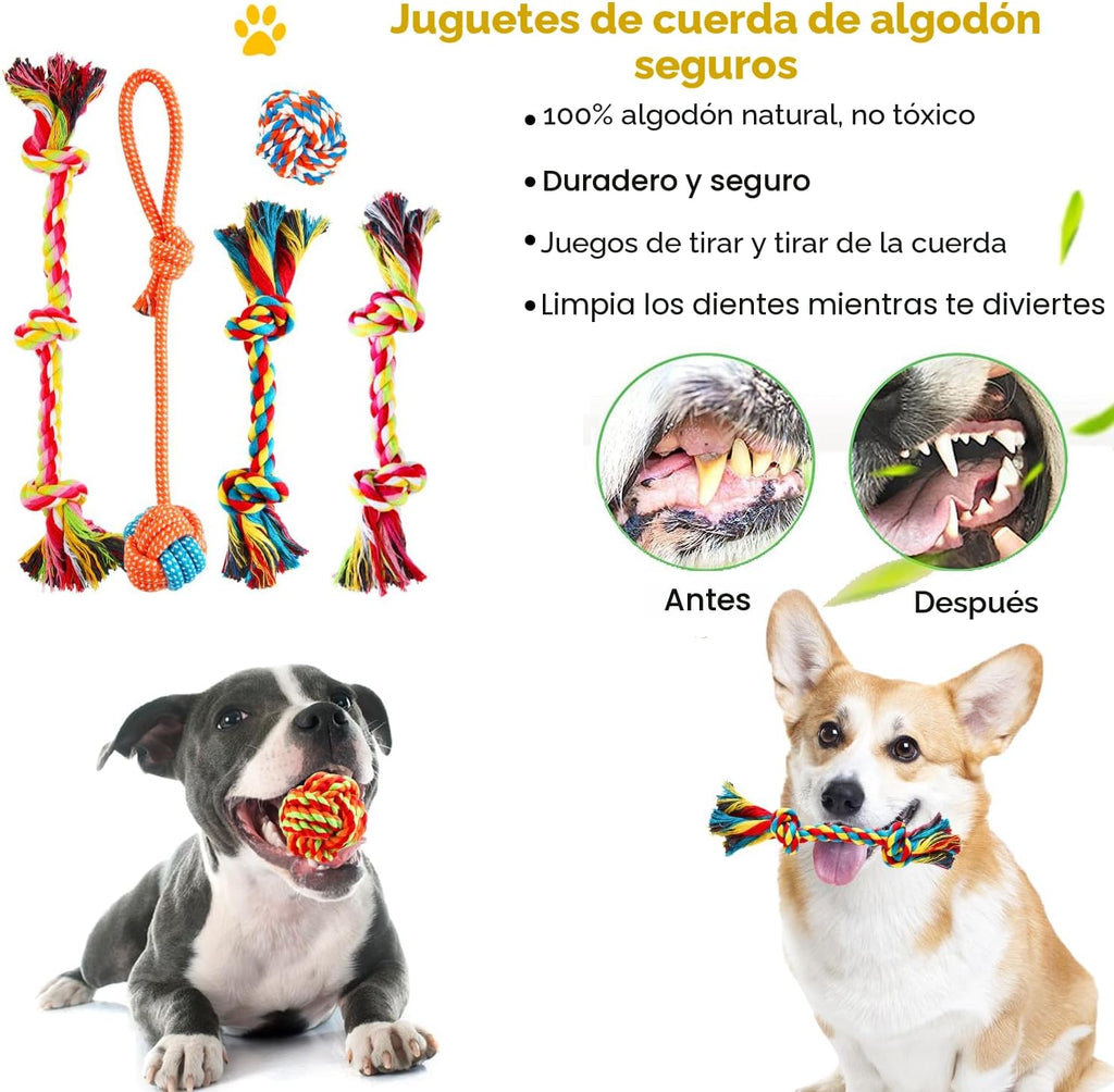 Aipper Juguetes para perros, paquete de 25 unidades para diversión...