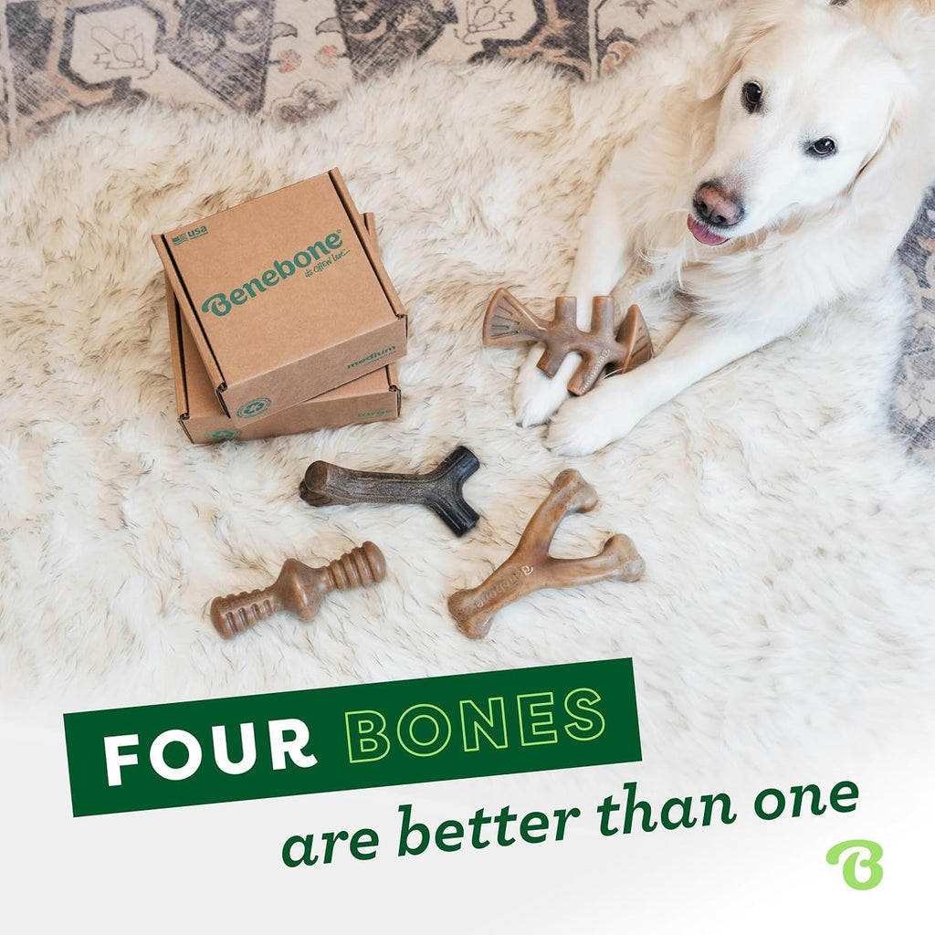 Benebone - Paquete de 4 juguetes masticables grandes para perros pa...