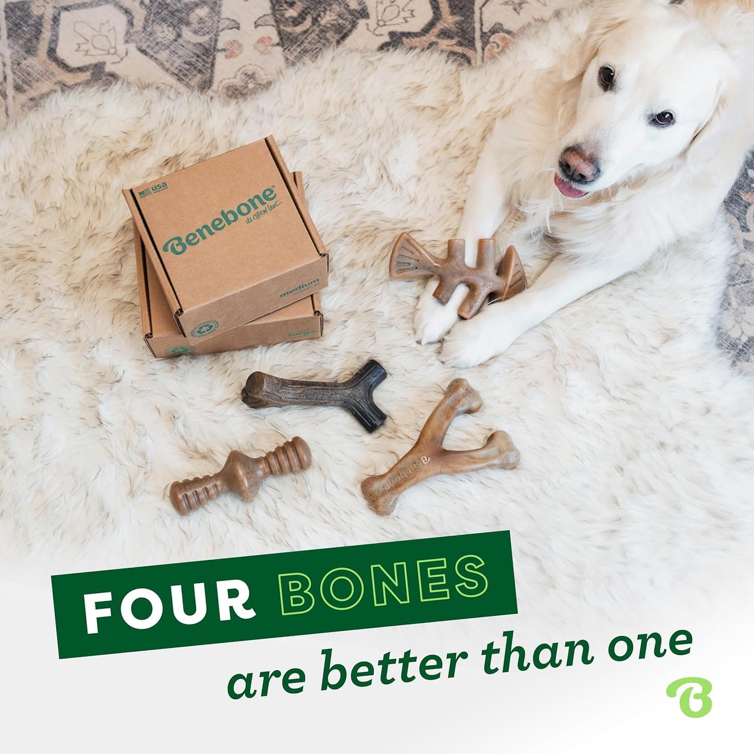Benebone - Paquete de 4 juguetes masticables grandes para perros pa...