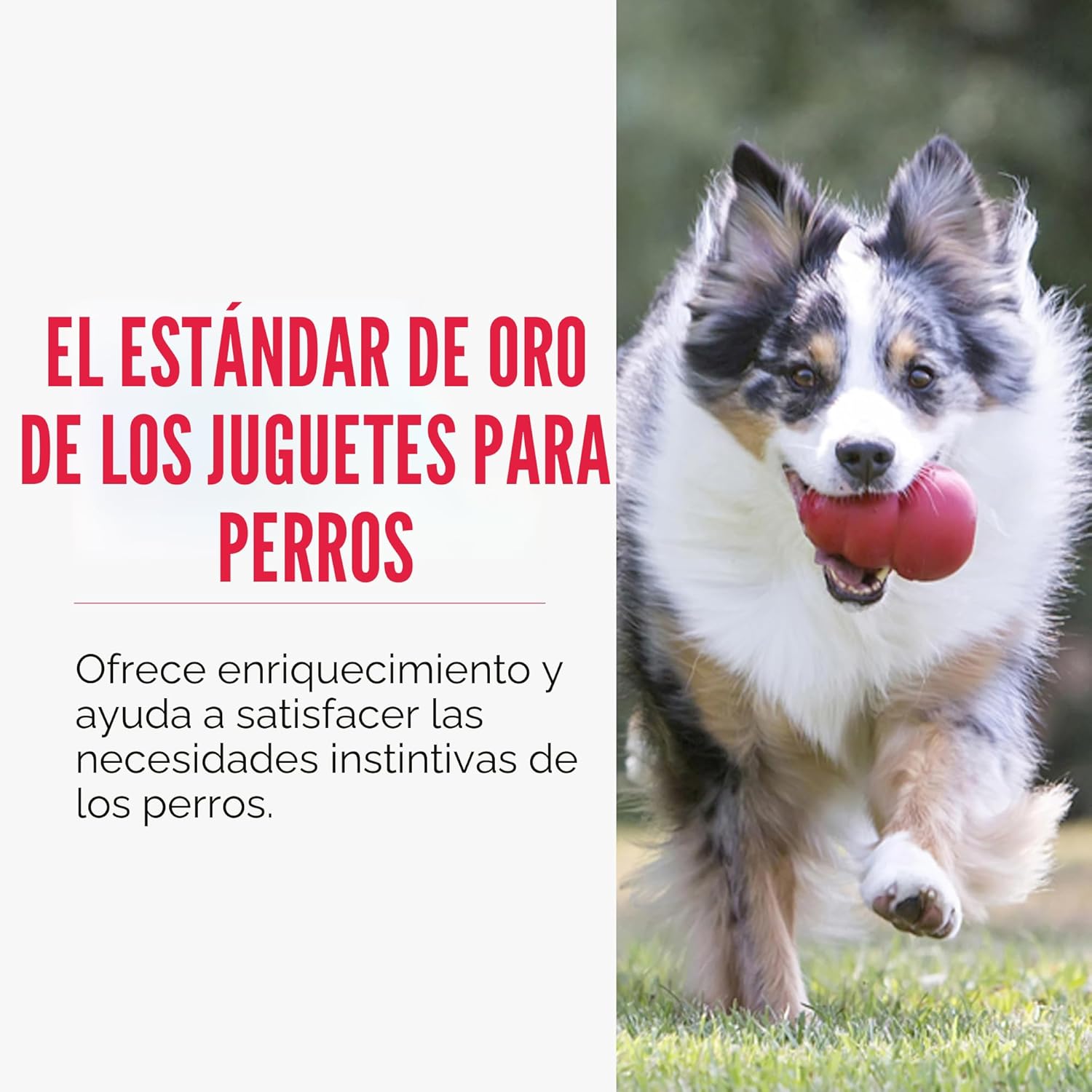 KONG Juguete clásico rellenable para perros - Juguete de búsqueda y...