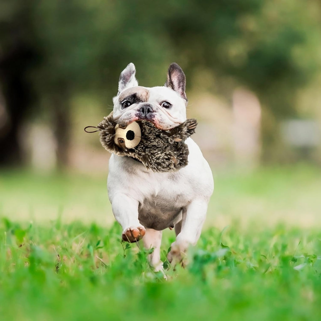 Juguete para perro perezoso con chirriador, juguete mediano para pe...