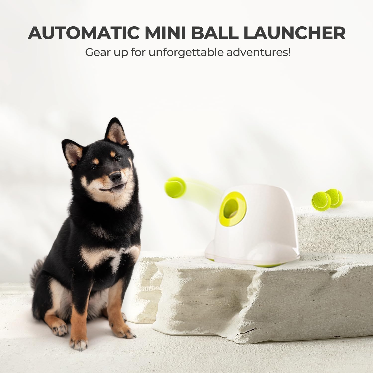 ALL FOR PAWS Lanzador automático de bolas para perros, máquina inte...