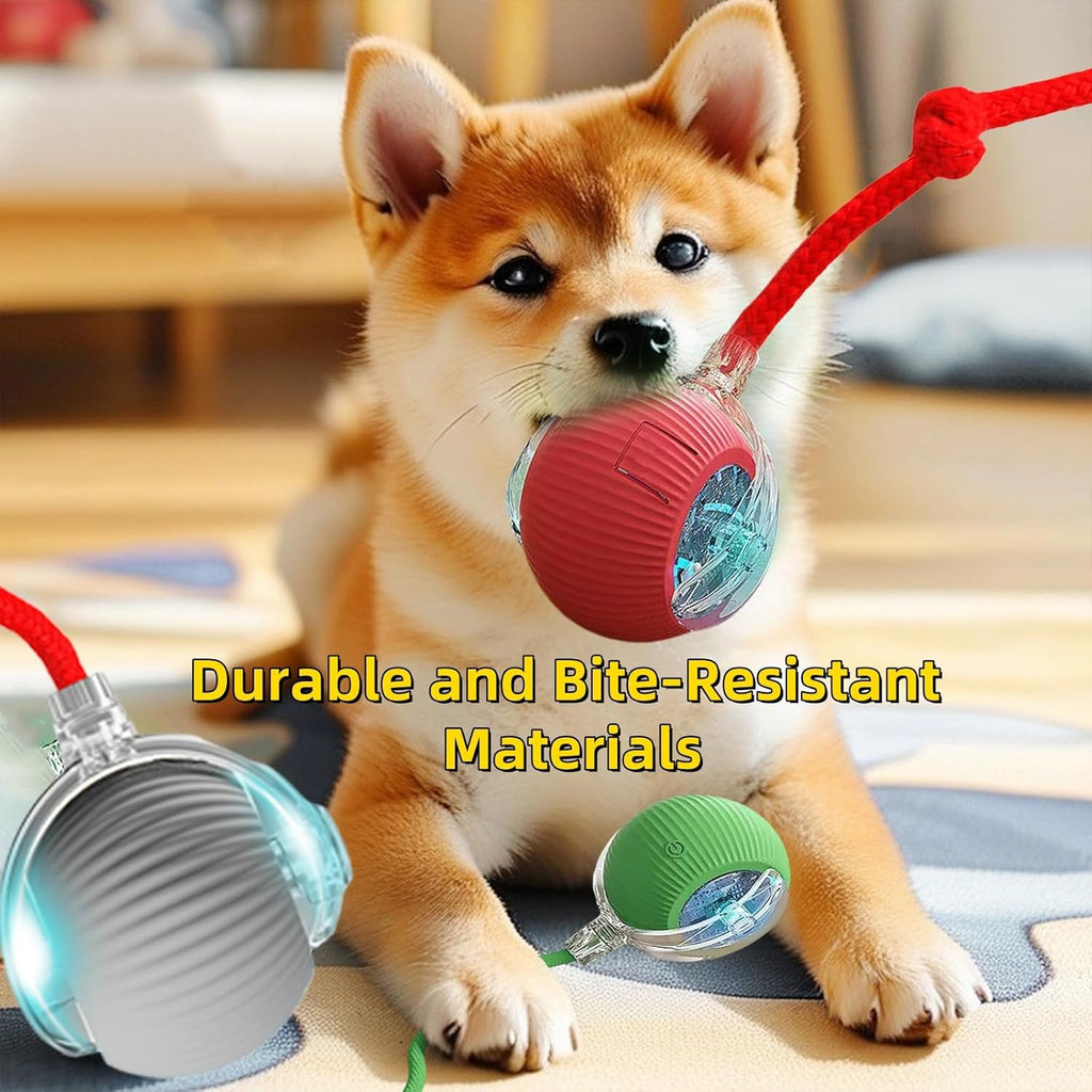 Pelota de juguete interactiva para perros y gatos, movimiento autom...